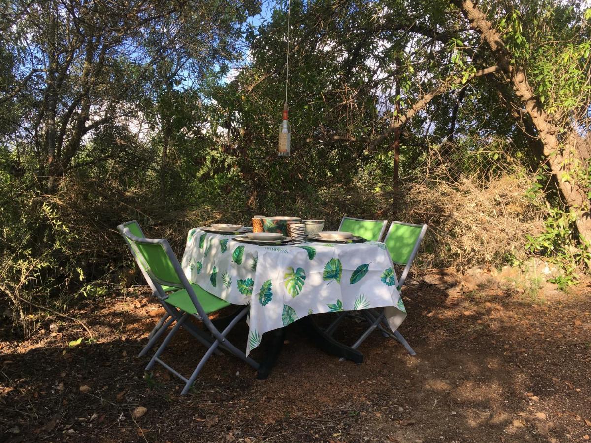 Finca Fahala كارتاما المظهر الخارجي الصورة