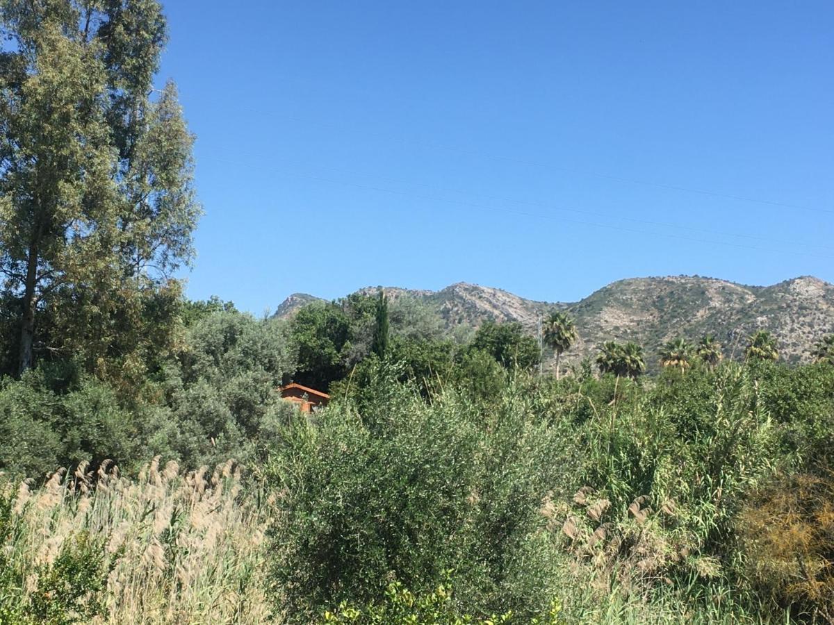 Finca Fahala كارتاما المظهر الخارجي الصورة
