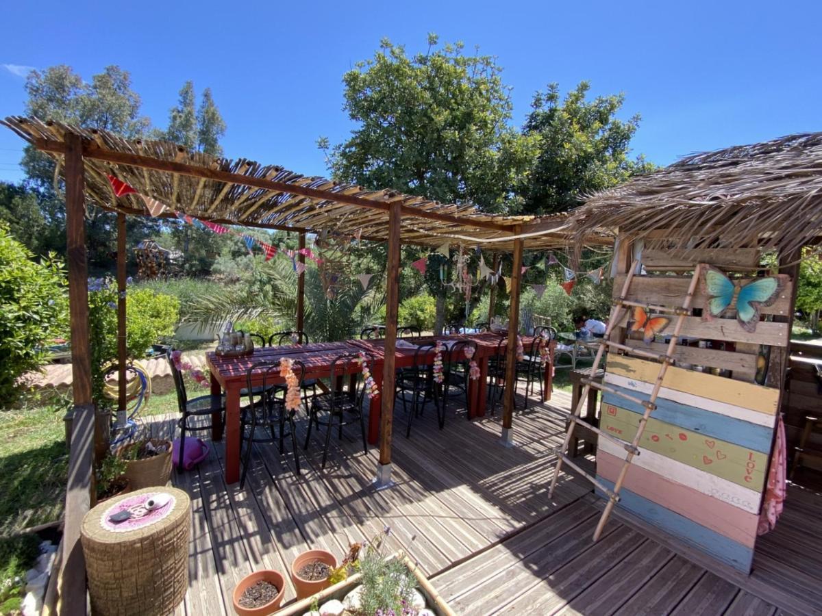 Finca Fahala كارتاما المظهر الخارجي الصورة