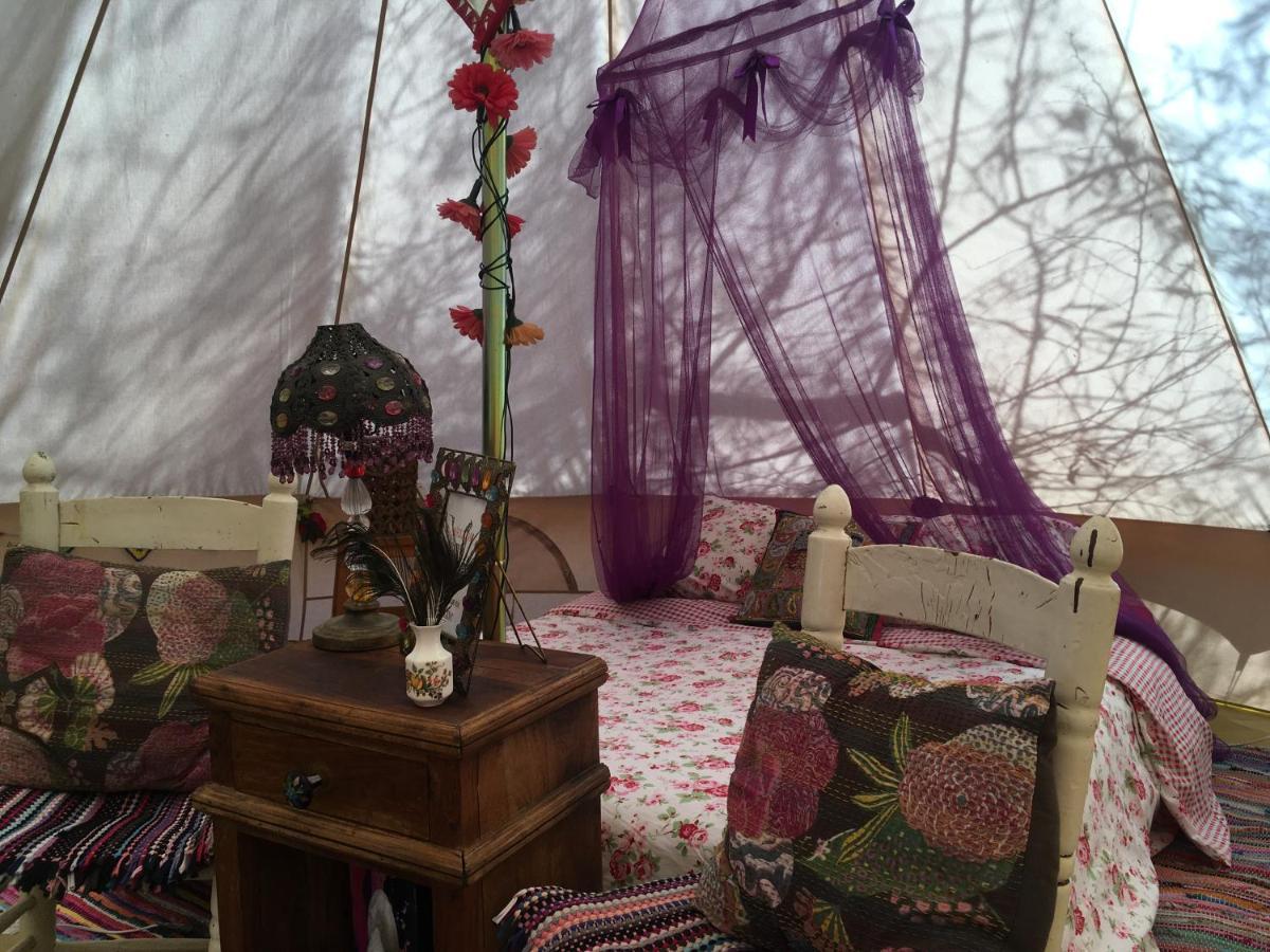 Finca Fahala كارتاما المظهر الخارجي الصورة