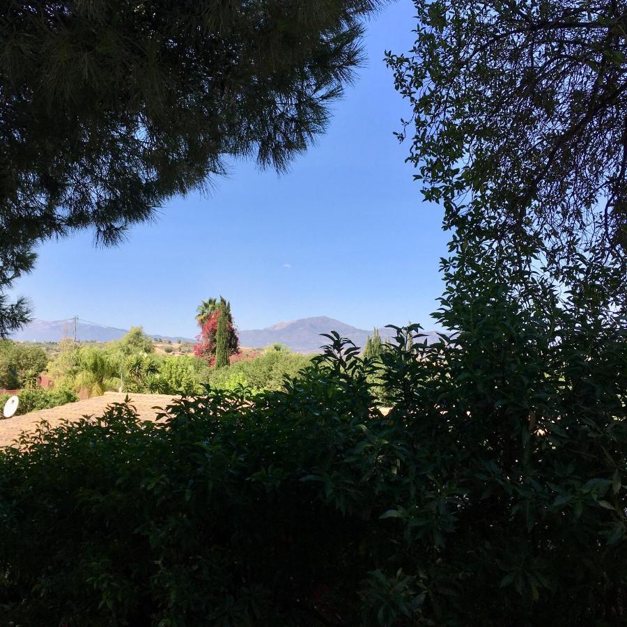 Finca Fahala كارتاما المظهر الخارجي الصورة
