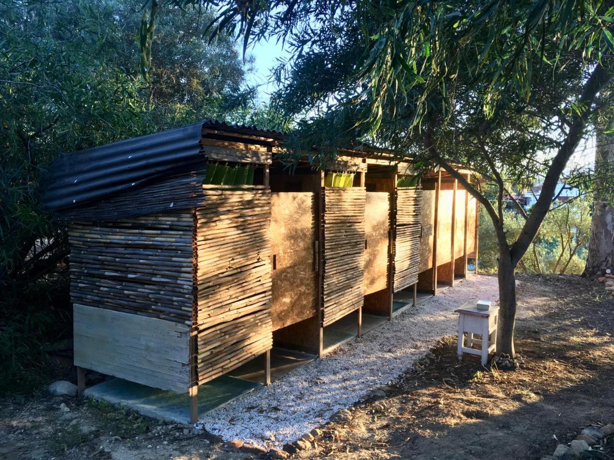 Finca Fahala كارتاما المظهر الخارجي الصورة
