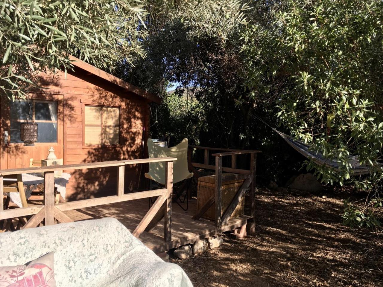 Finca Fahala كارتاما المظهر الخارجي الصورة