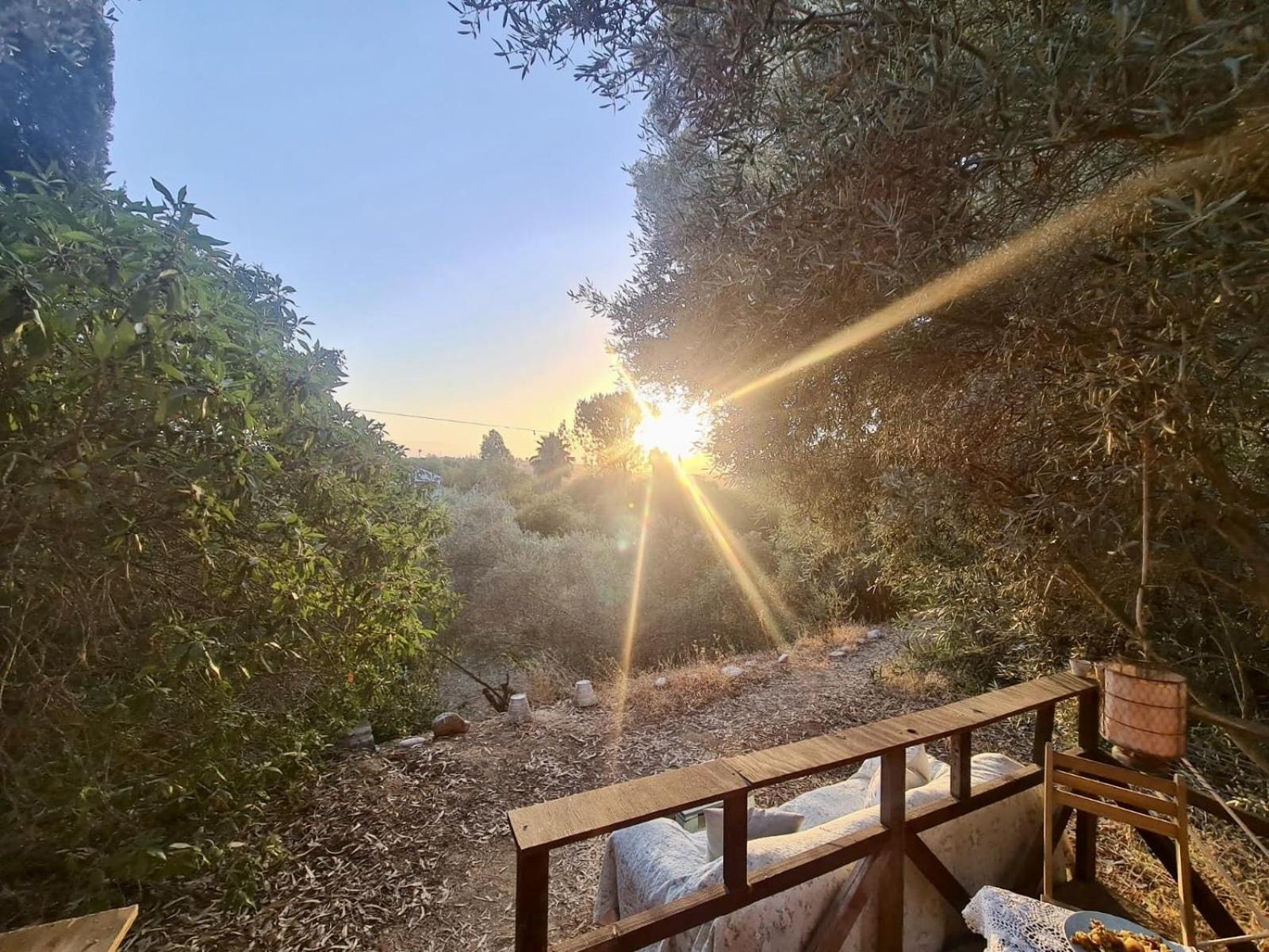 Finca Fahala كارتاما المظهر الخارجي الصورة