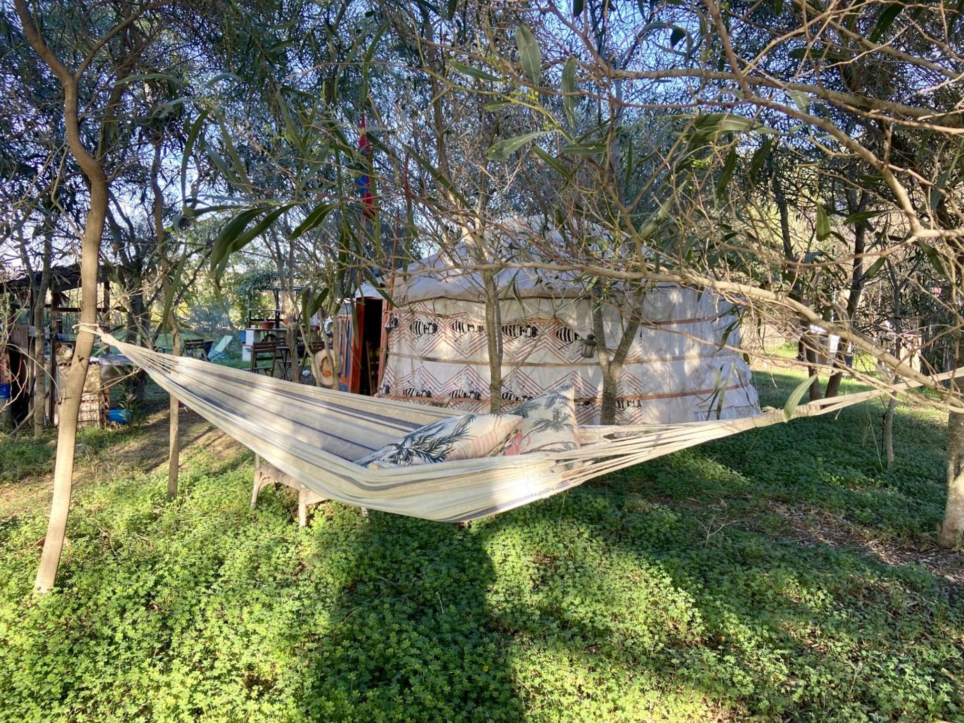 Finca Fahala كارتاما المظهر الخارجي الصورة