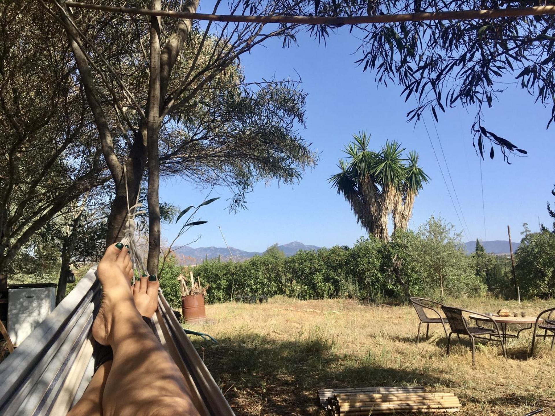 Finca Fahala كارتاما المظهر الخارجي الصورة
